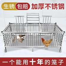 新款加密加厚不锈钢鸡笼鸭子笼子家用室外猫笼子小鸡笼具直销基地