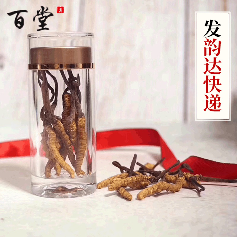 西藏那曲新鲜冬虫夏草 头期鲜草送长辈礼品冬虫夏草产地现货批发