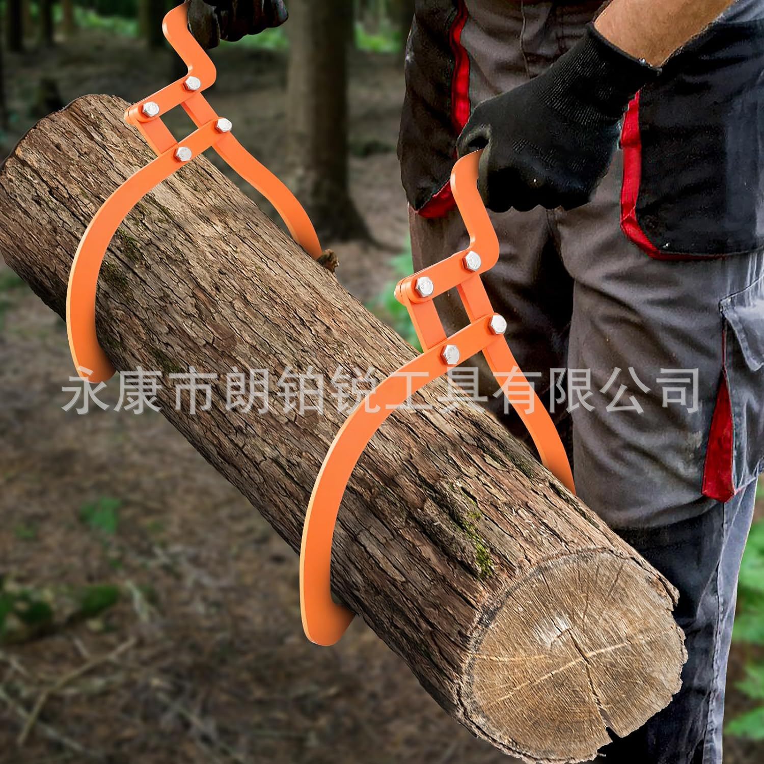 81P79SDFmlL._AC_SL1500_