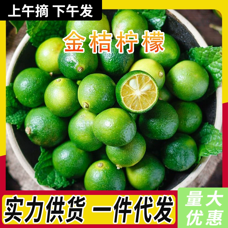 Свежие маленькие кумкваты, лимонные тонкокожие и сочные зеленые кумкваты, сезонные фрукты, магазин чая с молоком, специальные маленькие зеленые кумкваты, целая коробка, бесплатная доставка