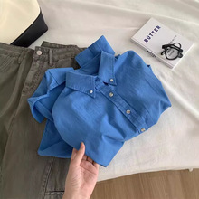 克莱因蓝灰常好看干枯玫瑰蓝色妖姬通勤休闲纯棉长袖衬衫女秋上衣