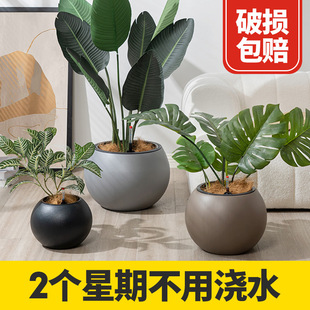 ��������[���������Α�������ˮ����Gֲ���ܺ��s�������ϻ���