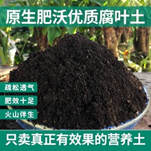 ��ֳ�����~������ͨ���͠I�B���B���N�˷Nֲ��͸ˮ͸����̿��