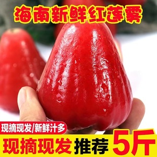 ���ϼt��ʯɏ�F�Ꭷ������ɏ�Fˮ���ЋDˮ���������rɏ�F��