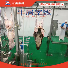 牛屠宰生产线 肉牛放血脱毛分割流水线 大型肉牛屠宰流水线设备