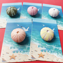 海洋动物三亚青岛大连威海海边文创旅游海胆冰箱贴纪念品装饰磁贴