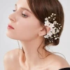E-016 gold (left ear)