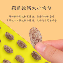 ��؛�����Ӵ��w������ζ���b�Թ��Qɢ�b��؛�ǹ��V�����e��ʳ