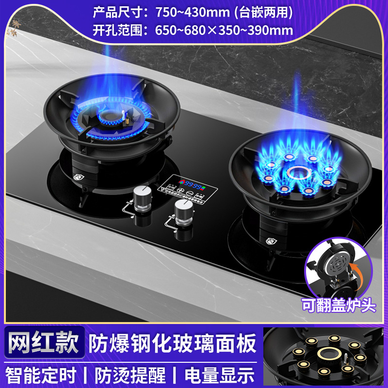 Rong Shida al por mayor doble estufas de gas estufas domésticas de gas natural gas licuado red rojo mágico estufas