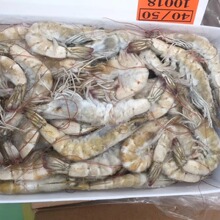 ���l���] ɣ���}����������12kg 6�ж�϶ࠖ���r�����ˮ�r