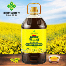 【一件代发】金丰盛低芥酸浓香菜籽油5L压榨食用油炒菜家用