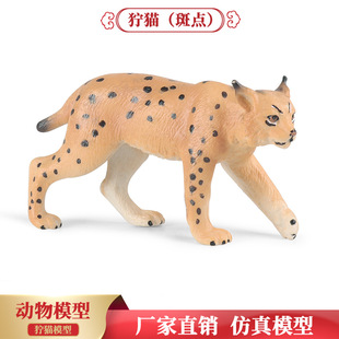 ���挍�Ą���ģ�ͪ�؈����؈Ұ؈���z��ͯ����J֪��ż��ߔ[��