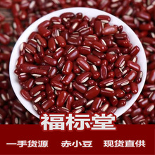 ɢbԭlСtඹsZ޲͌sZM