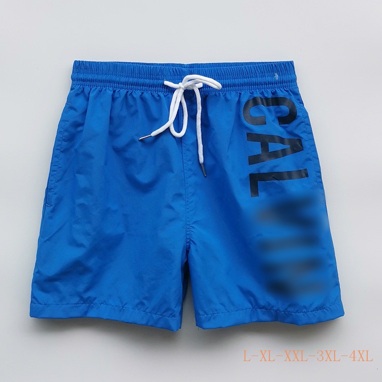 CA01 블루