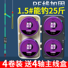 成品线组主线套装全套混搭组合装日本进口高档大物鱼线绑好pe加固