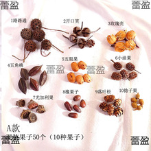 ��Ȼ�ɹ����ǧ�y���׃��@�ֹ����������bɹ���