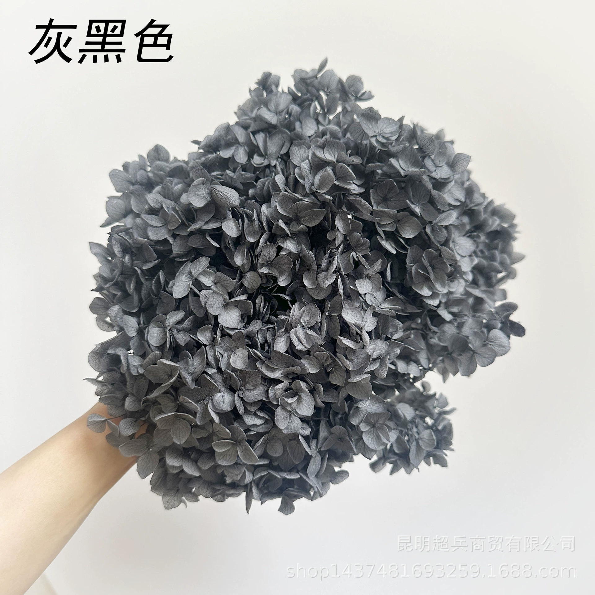 [Вечная Life Flower Hydrangea] Анна Градиентный цвет Лист Hydramid Книга цветов оптом DIY цветочная коробка материал для просмотра