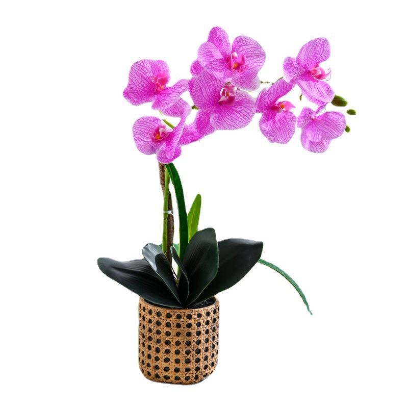 Da7 flores mariposa orquídea bonsai imitación de flores fabricantes directamente para decoración del hogar imitación de flores falsas en maceta ornamentos verdes image 6