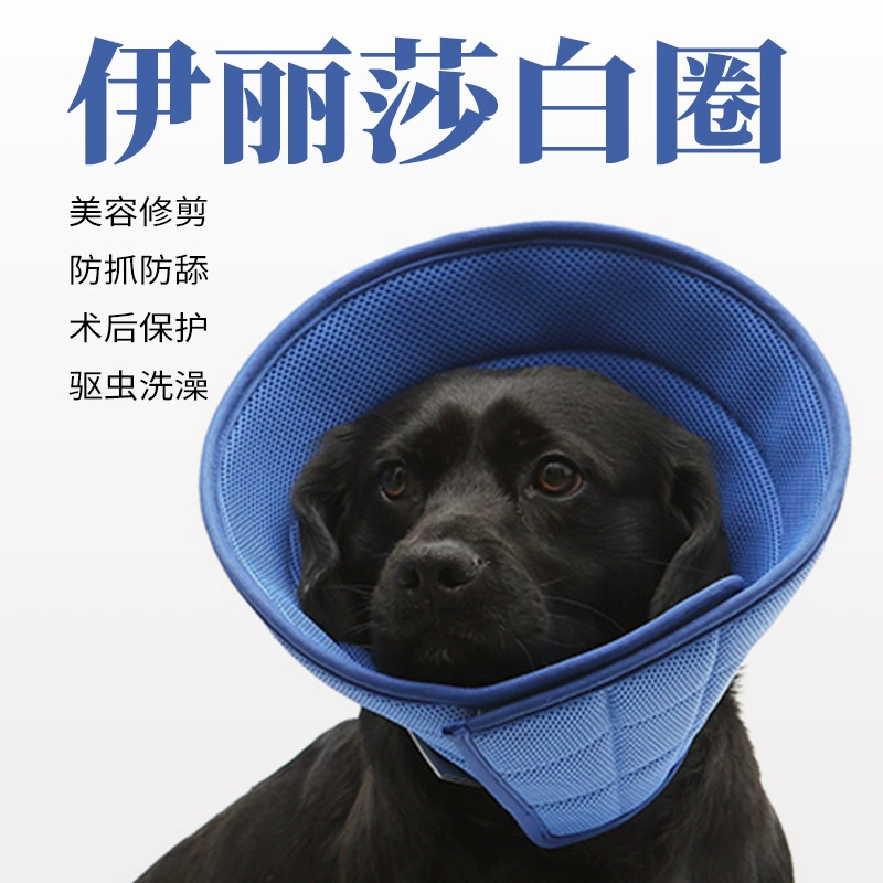 Пятно Amazon Elizabeth Circle Домашние животные ошейники после стерилизации домашних животных