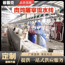 全自动家禽宰杀流水线 不锈钢杀鸡设备 食品厂专用屠宰机械