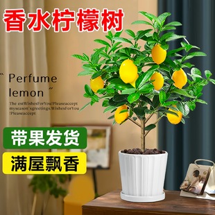 ��ˮ���ʘ䎧������ˮ����ʳ�Ø���Gֲ����͏d�҃��̨�ļ����B