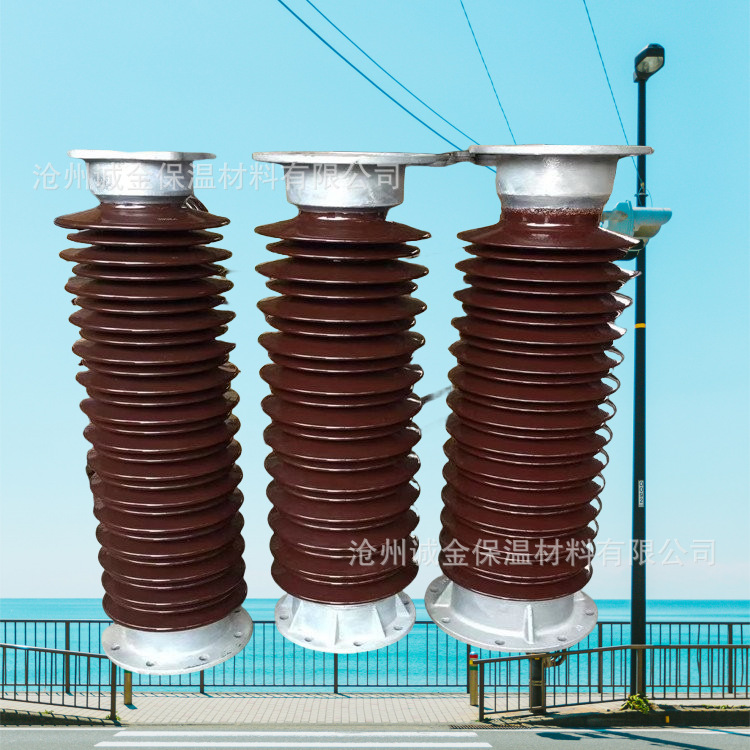 高压陶瓷支柱绝缘子ZSW-24/10 -3 20kv户外支撑绝缘子