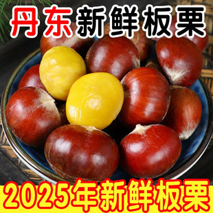���ڡ����|���������������r��ժ�������Ӯ�������ë�������l