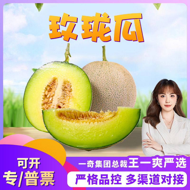【Premium Selection】Hainan Mei Long Melon Gift Box, Direct Delivery, 1.5kg Fresh First Batch, Super Sweet Seasonal Netted Melon, Seasonal Sweet Melon