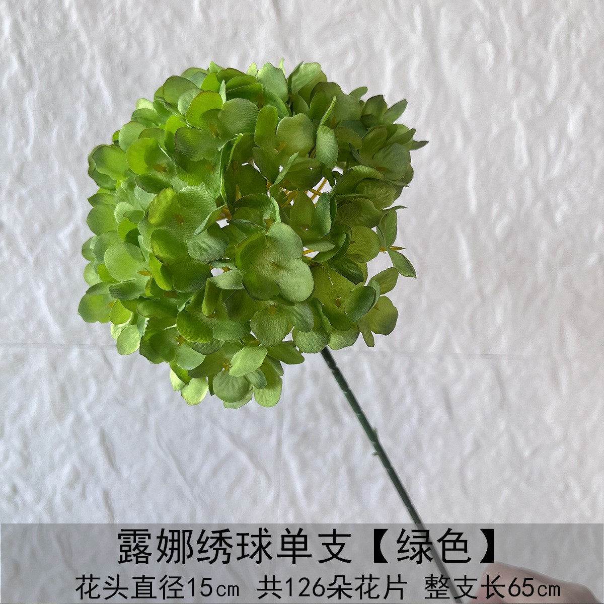 Una sola Hortensia de luna - verde