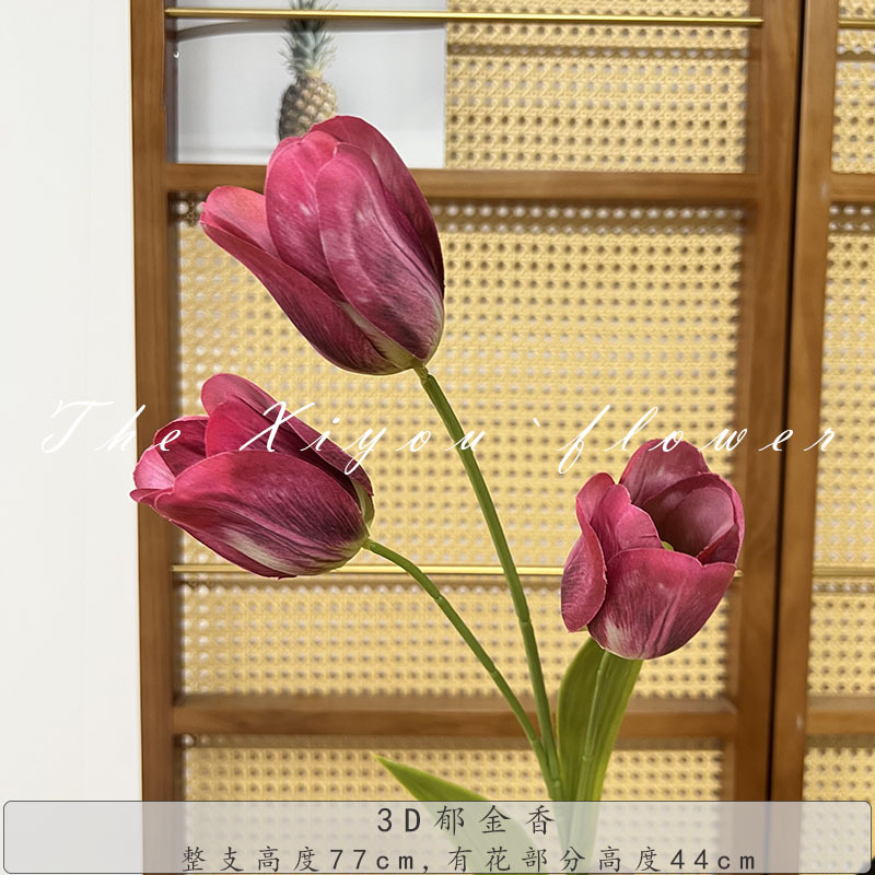 3D 튤립 된장 보라색