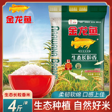 �����~���B�L����2ǧ�˖|�����������׼���������������l