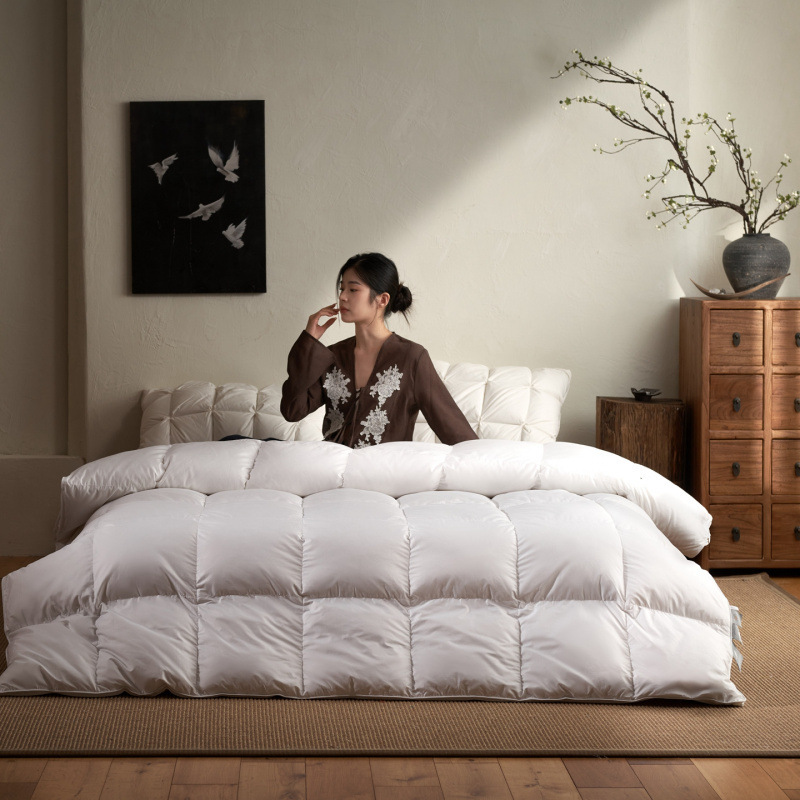 2025 New Model 50 White Duck down Duvet Soft Silk High Gram Fabric Quilt Core Winter Quilt