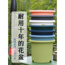 爱丽思Deepot简约北欧树脂控根加仑盆绿萝绣球月季爱丽丝塑料花盆