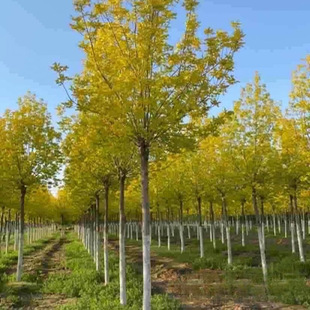 �������l ���~��Ϟ ������ 3��ñ ��·��ľ ���~��ľ