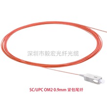 OM2�ߏ���SCβ�w 0.9�o�����w ��ĥ���� �����g�� �����۽����x