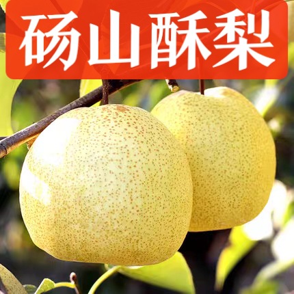 砀山酥梨青皮梨子安徽新鲜5斤当季皇冠梨梨鸭梨雪梨翠冠梨一件