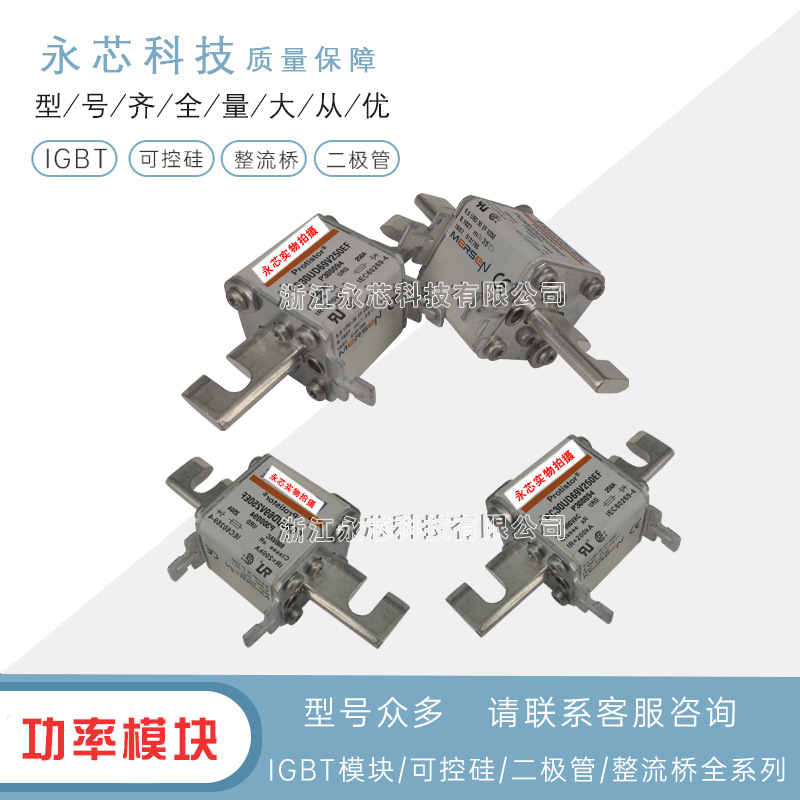 PC33UD55V2000TF	B300588原厂直销现货全新快速熔断器/保险丝