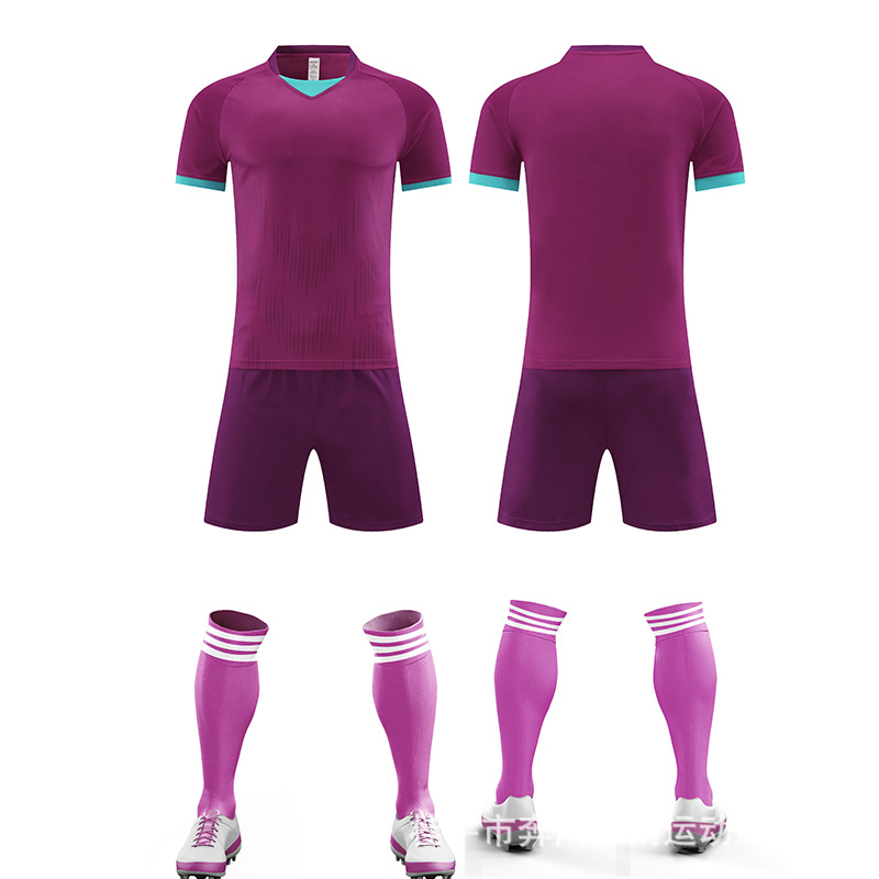 6006 - morado