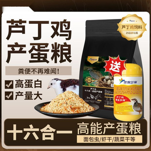 �J���u�߮a��ό��îa���Z���r���u�g���ߵ����µ��u����_����