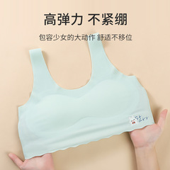 Elementary, middle, and high school girls' underwear; young girls' and children's small vests; developmental-stage student undergarments; junior high school bras