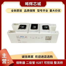 普通晶闸管;IGBT模块;其他二极管