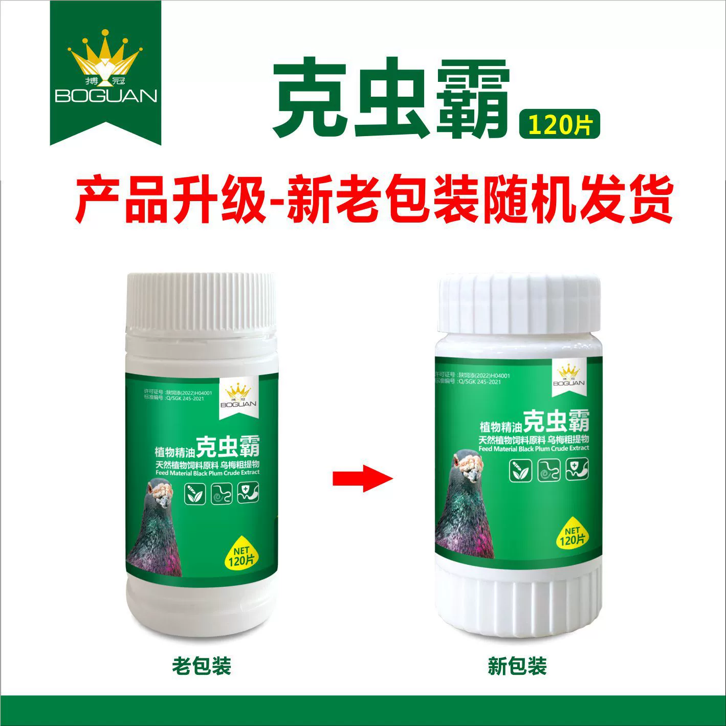 Бой хохлатых червей 120 голубей внутри и снаружи тела паразитов разноцветных фазанов