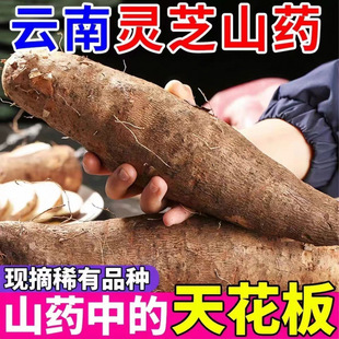 ���ɽș���r�`֥ɽș��Ŵ�F�ڷ��F�Uɽș����ɽșɽș���