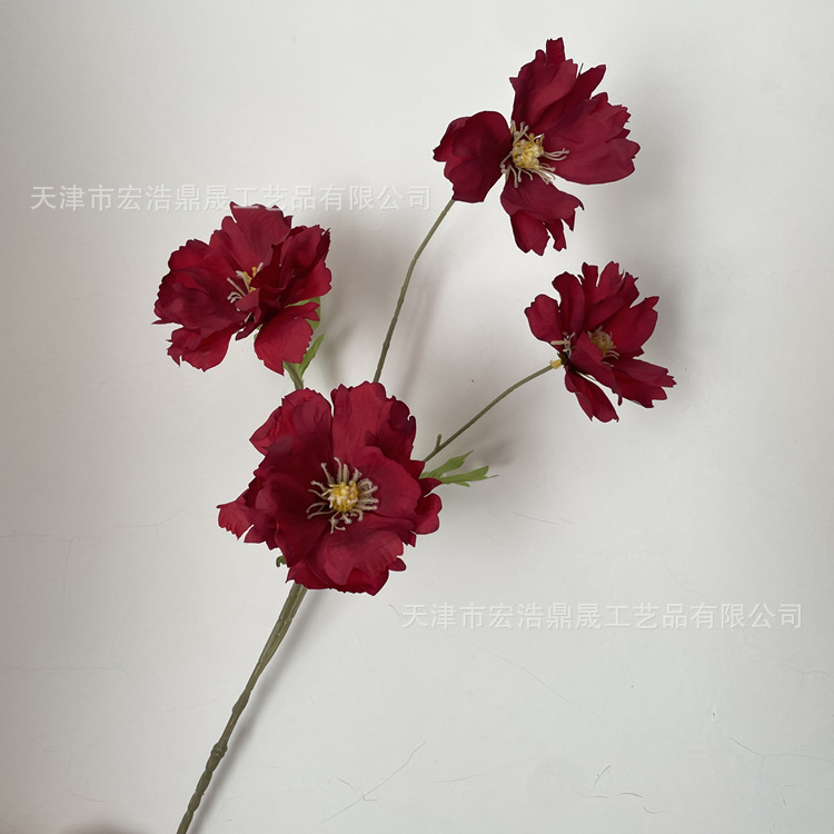 微信图片_202211251406195_副本