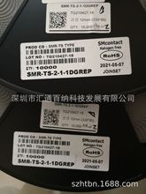 SMR-TS-2-1-1DGREP ���z�������