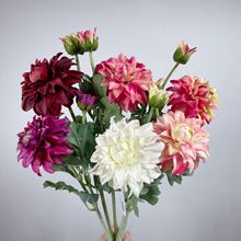 �羳���Q�����������c�Ƶ��b����ٻ��ҾӔ[�������廨���滨