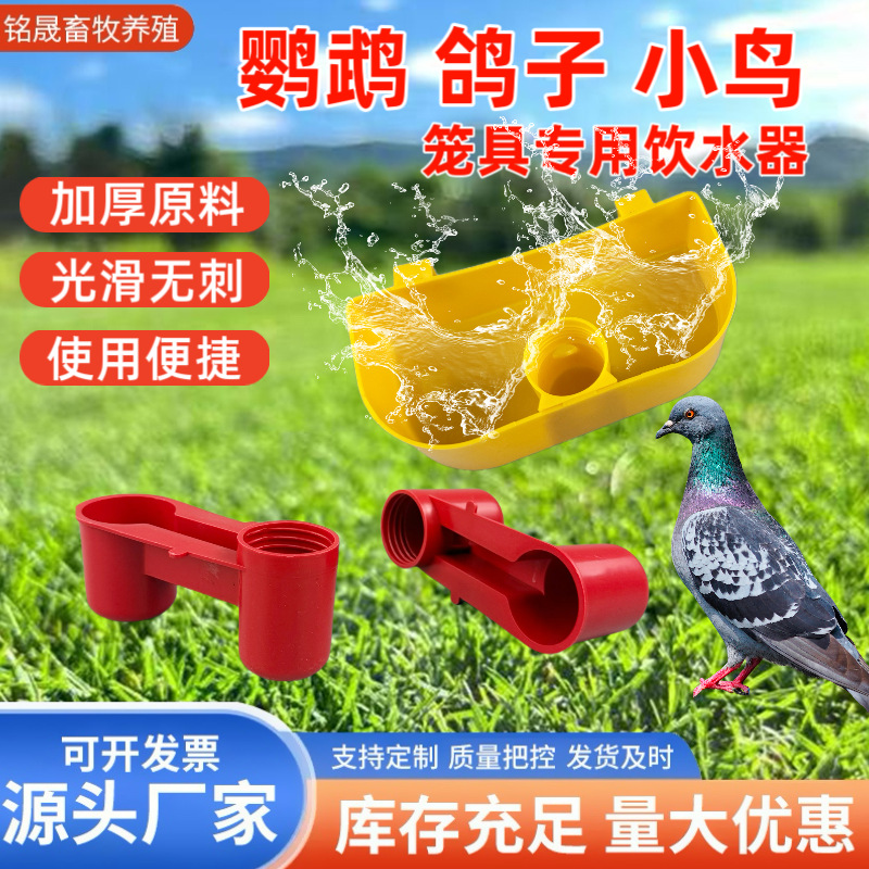 新款鸽子小鸟饮水器食盒鸽笼挂盒饮料瓶自动家禽饮水碗鸽鸟饮水器