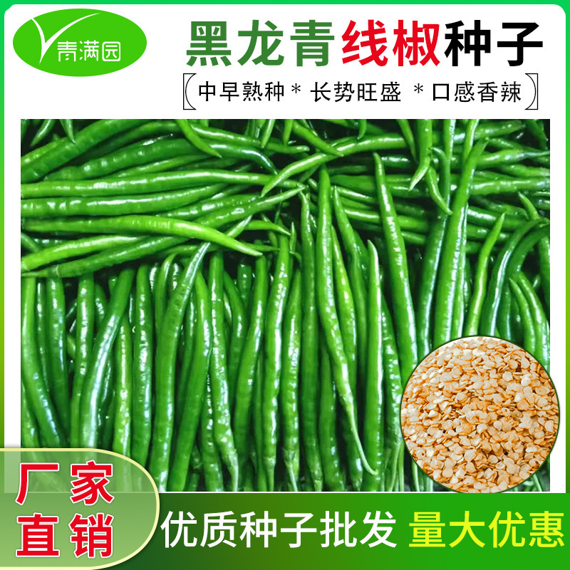 Green Pepper Seeds, Straight-Line Pepper Seeds, Super Spicy Pepper Seeds, Potted Four-Season Vegetable Seeds