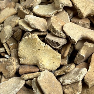 ������������ ���M��ی����Ĕz