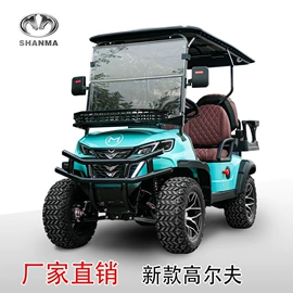电动观光车;高尔夫球车;其他电动车